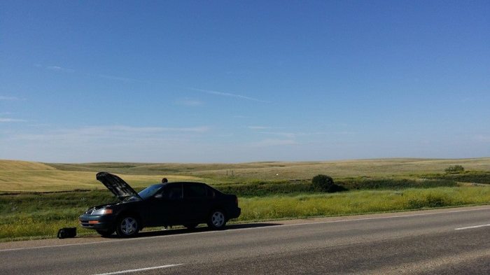 Dead Car. Photo courtesy of Jonny Waldner.