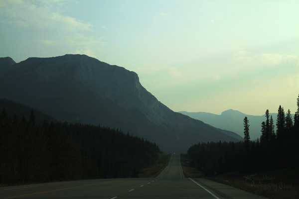 Highway 16 West to Jasper.