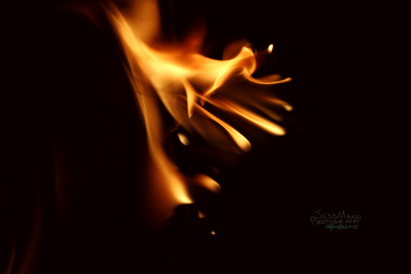 _MG_6313smsig