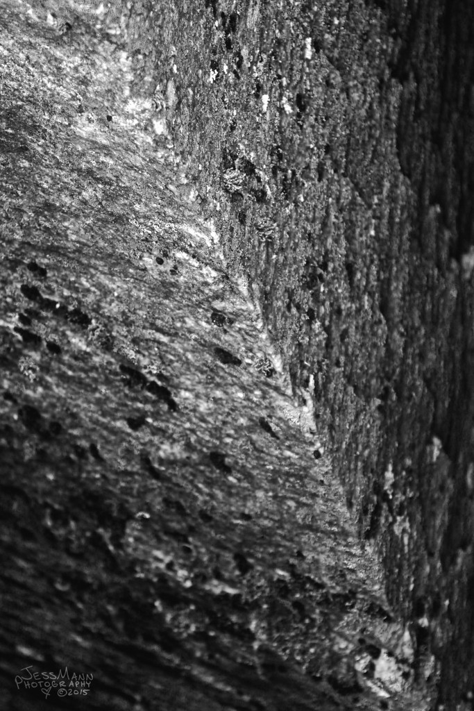 _MG_0487bigbwsig