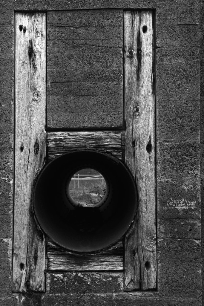 _MG_0605bigsig