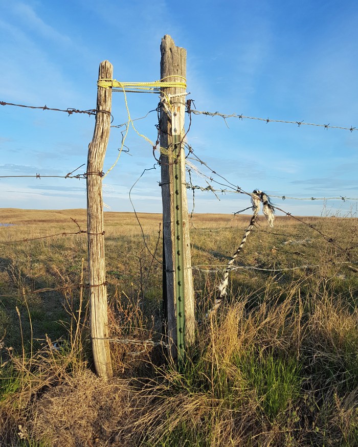 IMG_20170506_075830_168