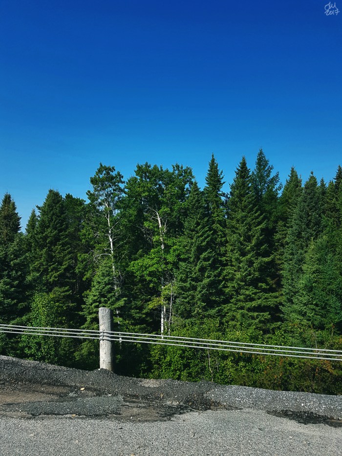 20170819_095521smsig