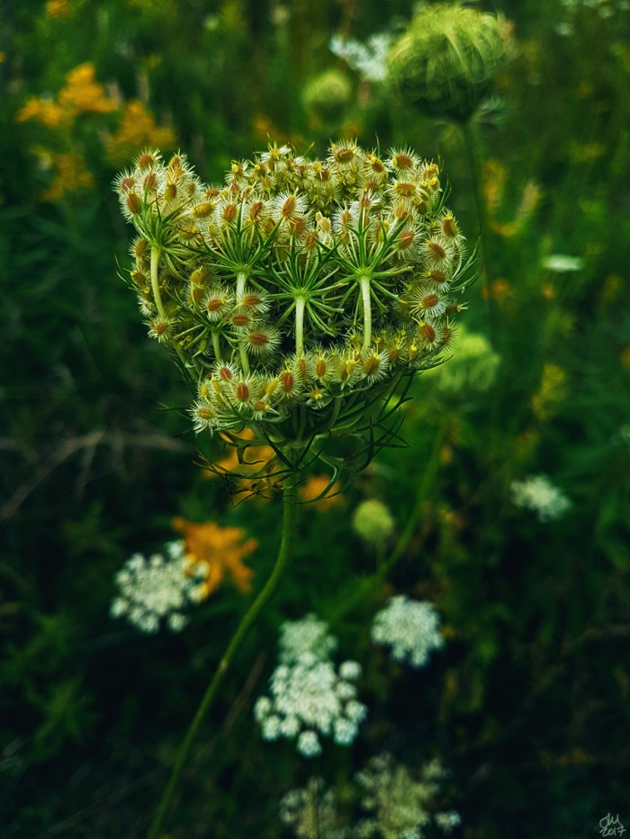 20170821_092951smsig