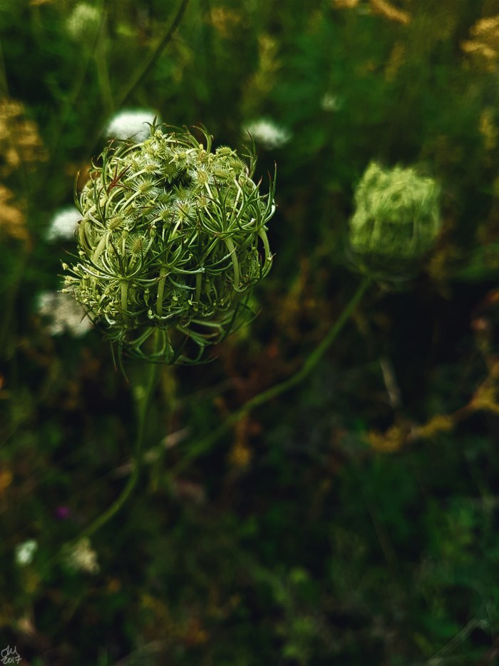 20170821_092958(0)smsig