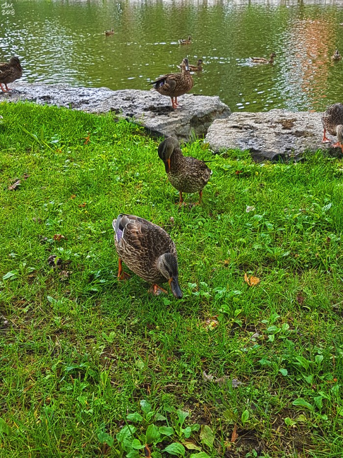 20170822_140624smsig