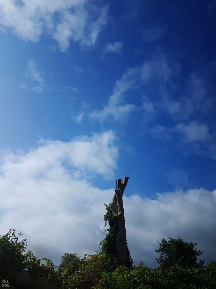 20170824_100136smsig