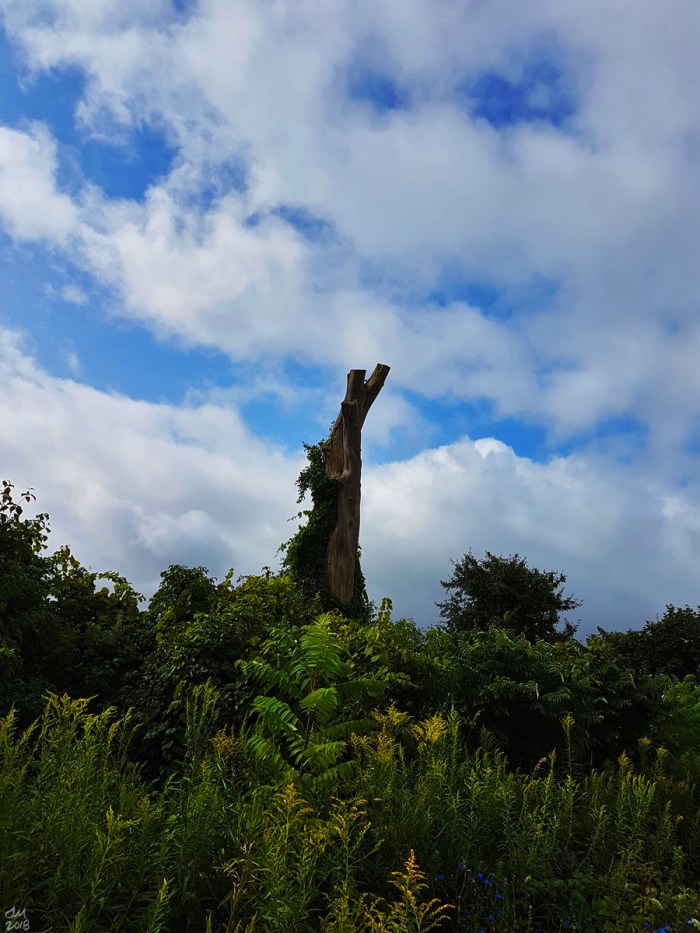 20170824_100343smsig